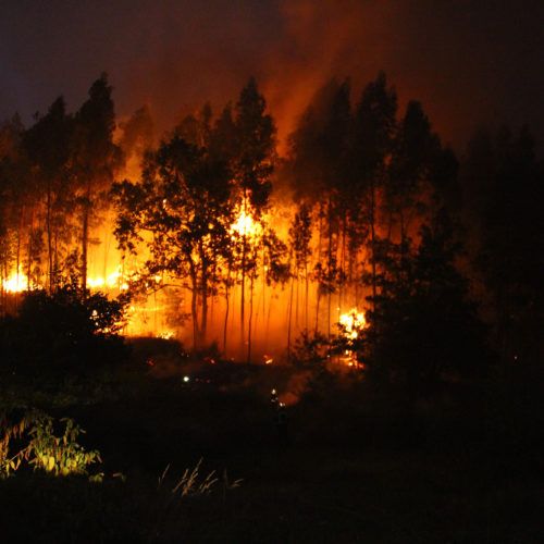 A Asociación de Medios en Galego en contra da devastación dos nosos montes