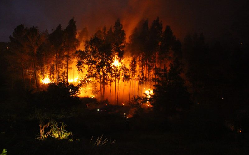 A Asociación de Medios en Galego en contra da devastación dos nosos montes