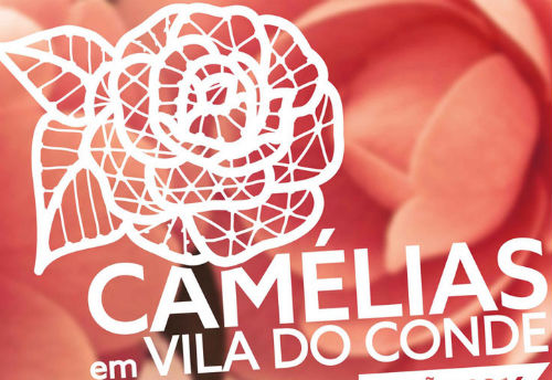 Camélias em Vila do Conde