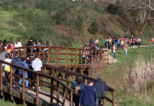 Ponteareas celebrou o Día da Árbore con 500 escolares