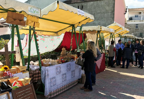 Feira do Vinho e do Bacelo em Fradizela