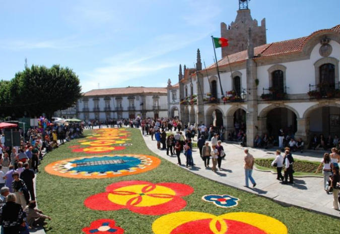 Tapetes de Flores: um cenário único de rara beleza