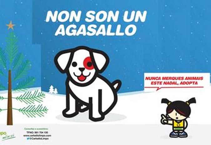 “Este Nadal, adopta”, a nova campaña contra o abandono e a prol da adopción de animais da canceira municipal