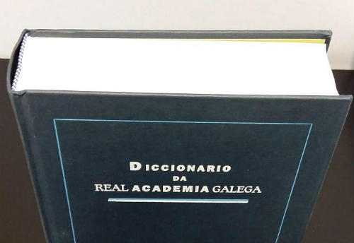 O Dicionario da Real Academia Galega superou en 2017 os 20,5 millóns de consultas