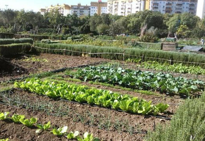 Lugo abrirá o luns o prazo para solicitar as 30 parcelas dos hortos urbanos do Parque dos Paxariños