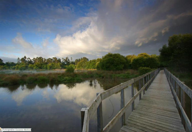 Dia Internacional das Zonas Húmidas e Sessão de lançamento do Projecto LIFE FLUVIAL