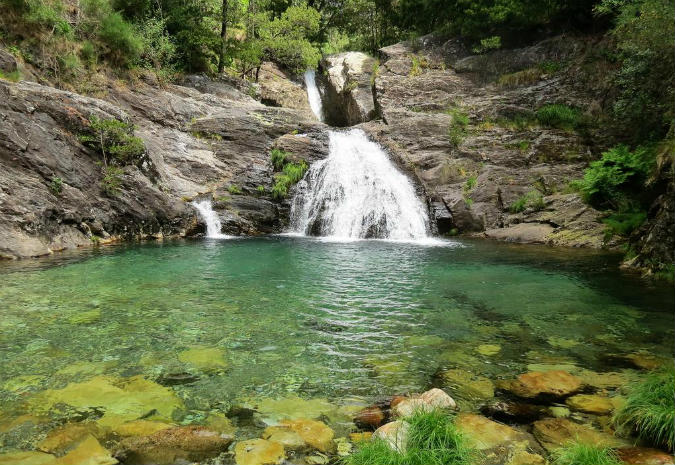 Estâo a envenenar a Serra d’Arga.