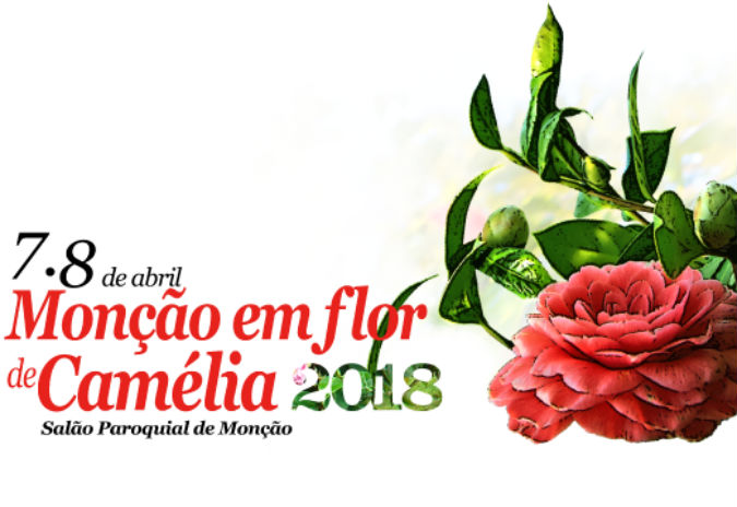 Monçao en flor de Camélia