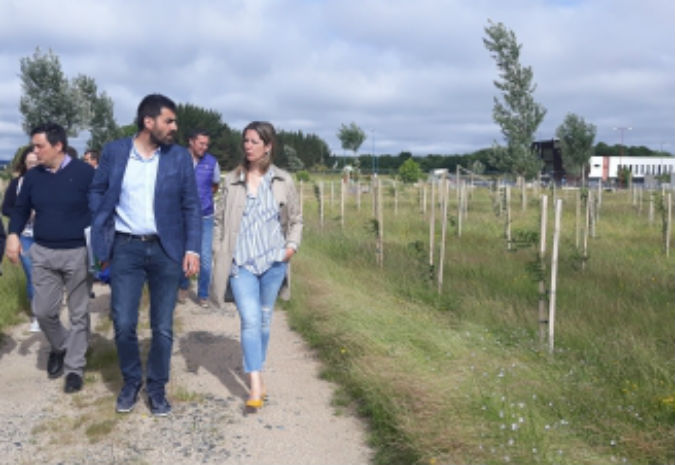 Concluída a plantación de 5 hectáreas nas Gándaras con 13.000 exemplares de frondosas e cultivos enerxéticos a través do Life