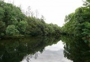 A Consellería de Medio Ambiente propón unha multa polo verquido de sosa caústica no río Tea de máis de 200.000 euros.