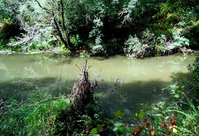 Adenco denuncia a contaminación do río Tea