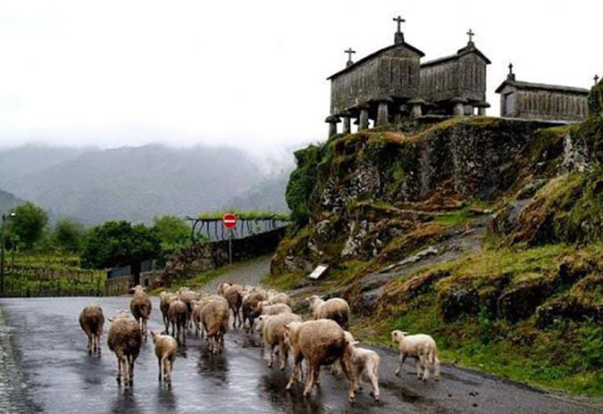 Descobrir o Alto Minho em Soajo a pé ou sobre rodas!