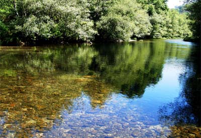 Cruz Vermella anima os cidadans de Ponteareas unha vez mais a adicar parte do seu tempo libre ó medioambienteo