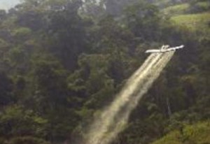 Elvira Cienfuegos defenderá unha moción para evitar que a Xunta realice fumigacións aéreas nocivas para o medio ambiente e a saúde