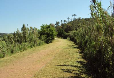 Intervenção na Ecopista e Marginal do Rio Minho