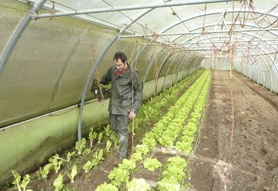 "Na agricultura fai falla menos burocracia e máis consumo local"