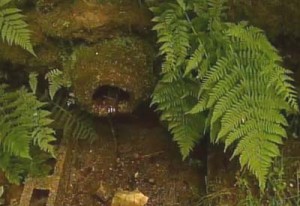 O BNG Demanda o acondicionamento da fonte dos Pelamios e da zona recreativa da Lavacolla