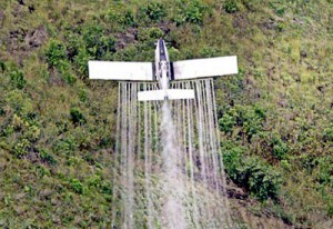 O PSOE de Ponteareas preguntará ó Alcalde sobre a fumigación aérea dos nosos montes cun insecticida prohibido pola UE