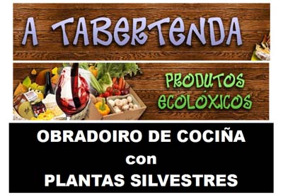 Obradoiro de cociña con plantas silvestres