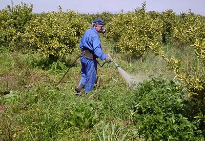 Ponteareas, primeiro concello libre de herbicidas