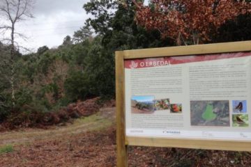Ponteareas e a Deputación valorizan o erbedal do parque forestal da Picaraña