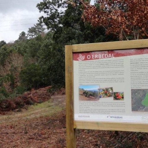 Ponteareas e a Deputación valorizan o erbedal do parque forestal da Picaraña