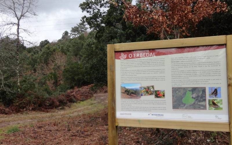 Ponteareas e a Deputación valorizan o erbedal do parque forestal da Picaraña