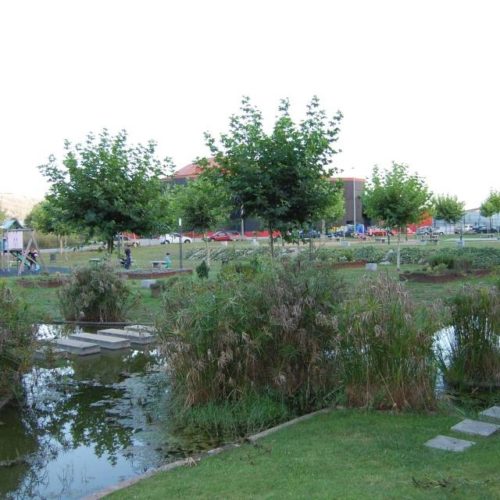 Mos levará a Sanguiñeda o proxecto de parque para cans