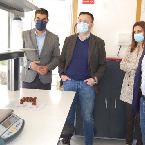 Medio Rural asina convenio co Concello de Riós para identificar soutos e frondosas