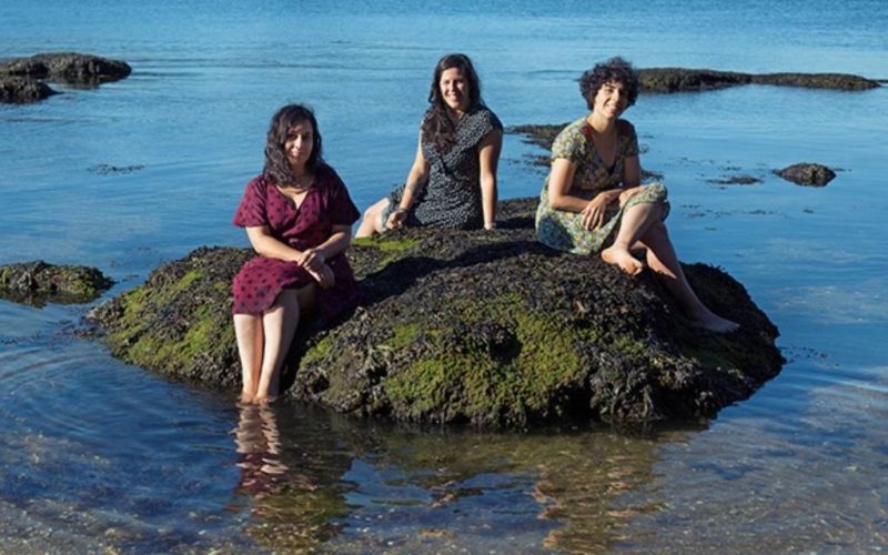 “Negro Púrpura”, de cando o LSD daba de comer ás familias