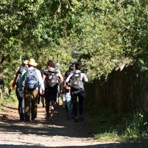 Caminho de Torres: o outro Itinerário Jacobeu em Ponte de Lima