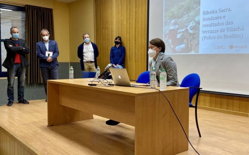 Un estudo da Xunta e o CSIC sitúa a orixe das terrazas da Ribeira Sacra no século X