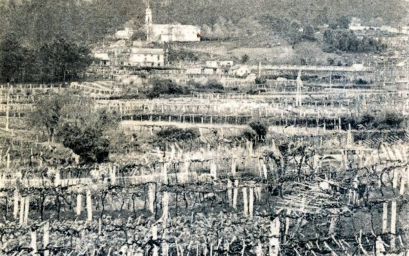 Os Bens do Mosteiro de Melón en Arbo: o Foro do Rial (1666)