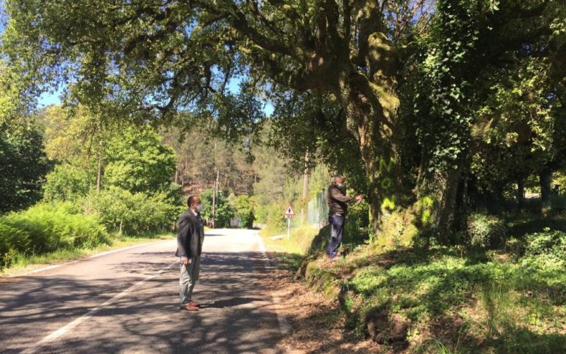 Concello de Mondariz atende as queixas veciñais sobre a corta das sobreiras de Toutón