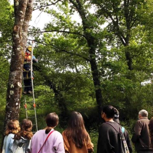 Escolares de Ponteareas implícanse na conservación dos morcegos na contorna do río Tea