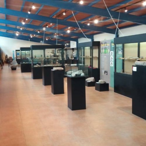 Ponteareas celebrará o Día Internacional dos Museos