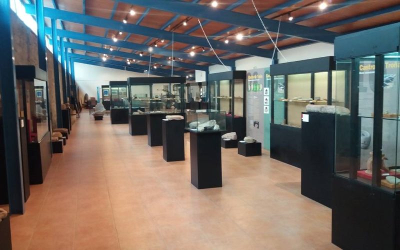 Ponteareas celebrará o Día Internacional dos Museos
