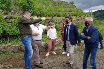 EVEGA asesora aos viticultores afectados polo pedrazo en Chantada (Lugo)
