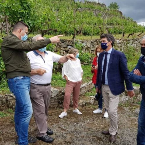 EVEGA asesora aos viticultores afectados polo pedrazo en Chantada (Lugo)