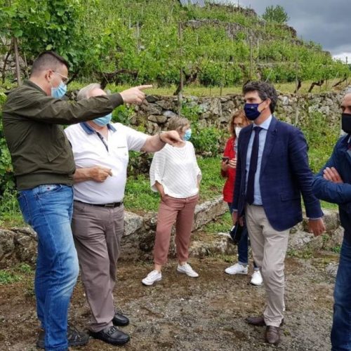 EVEGA asesora aos viticultores afectados polo pedrazo en Chantada (Lugo)