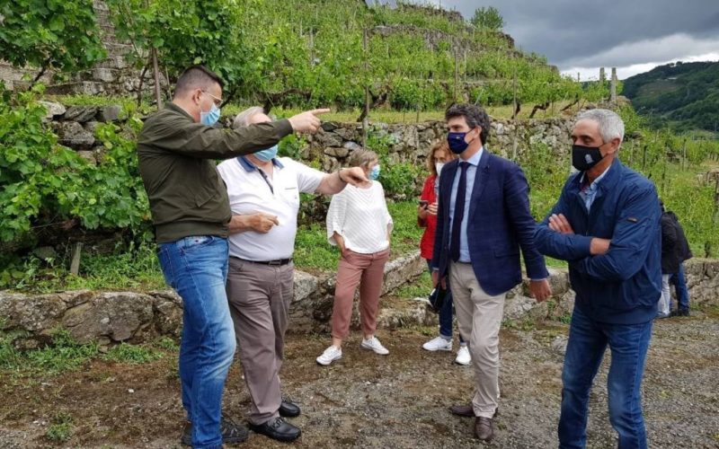 EVEGA asesora aos viticultores afectados polo pedrazo en Chantada (Lugo)