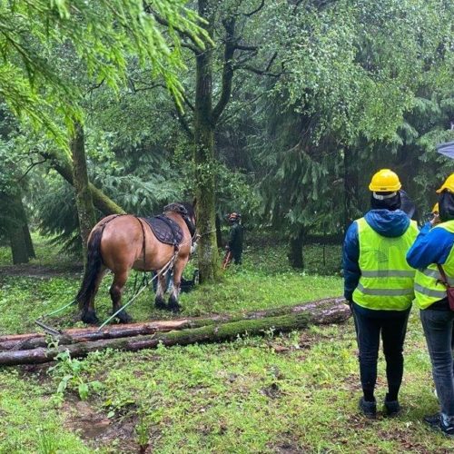 Paredes de Coura desenvolve projeito de Laboratório Rural