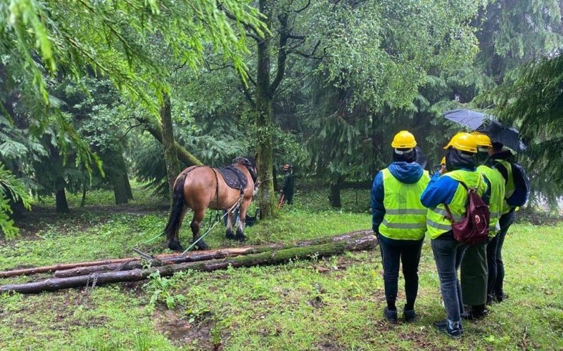 Paredes de Coura desenvolve projeito de Laboratório Rural