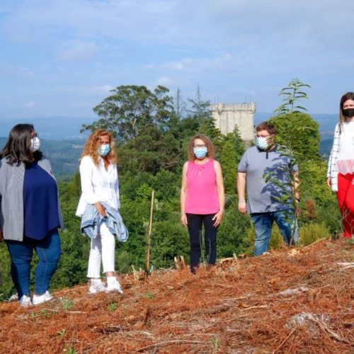 O Bosque do Castelo de Sobroso revive o seu esplendor medieval