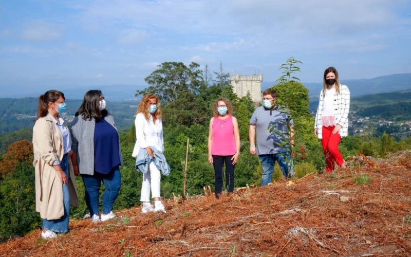 O Bosque do Castelo de Sobroso revive o seu esplendor medieval