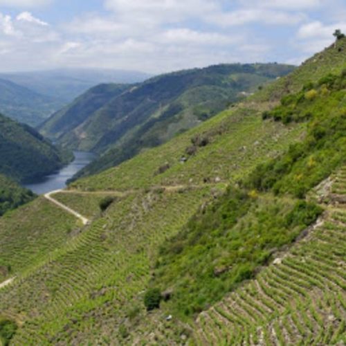 Promocionan a Monforte e a Ribeira Sacra por Europa Central