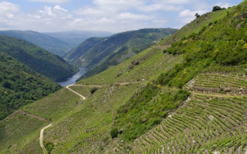 Promocionan a Monforte e a Ribeira Sacra por Europa Central