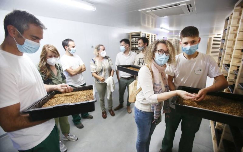 Concello apoia empresa ponteareá pioneira en Galicia na cría de vermes