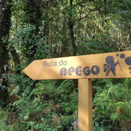 I Ruta do Apego en Ames