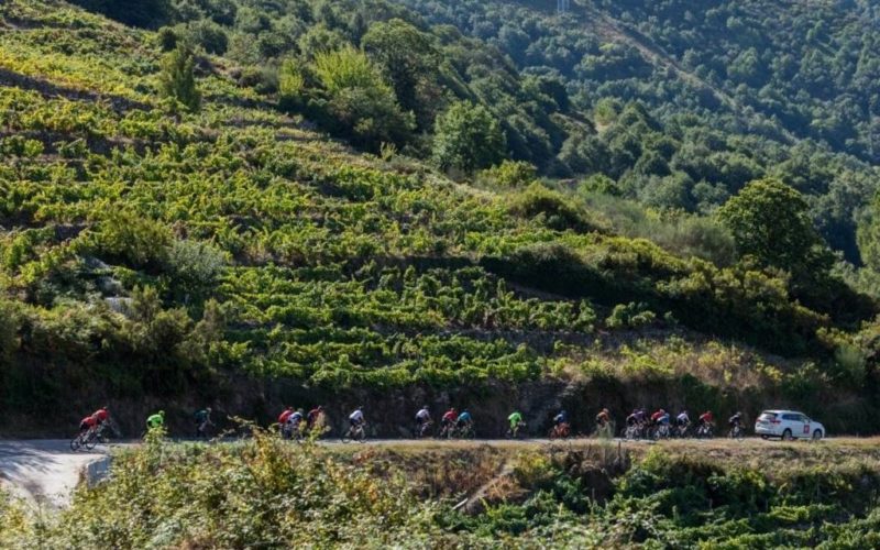 Cicloturismo pola Ribeira Sacra